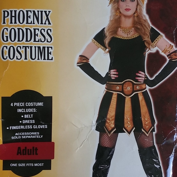 Phoenix Goddess Halloween Costume Adult One Size - Picture 6 of 14